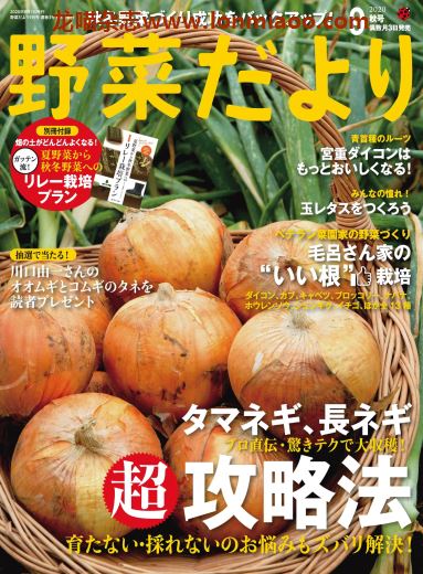 [日本版]野菜だよリ202009秋号